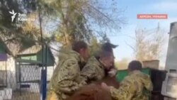 Животных из Херсона вывезли в аннексированный Крым