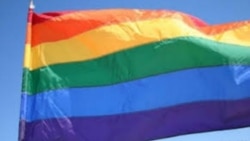 دریچه؛ قتل علیرضا فاضلی منفرد و بحث‌ها پیرامون تهدید و تبعیض علیه اقلیت‌های جنسی در ایران