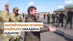 Украинера тIом бахьанехь Оьрсийчоьнан тIеман министраллица Кадыровн дов