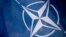 Sweden and Finland in 2022 both sought NATO membership shortly after Russia's invasion of Ukraine, and are hoping to complete the process this year.