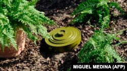 Ілюстрацыйнае фота.