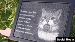 Памятник коту Кузе

