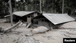 27 людей вважаються зниклими безвісти