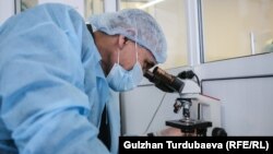 Иллюстрациялык сүрөт. 