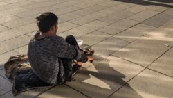 Diňle: Ahalyň bazarlarynda dilegçi çagalar köpelýär, polisiýanyň kowmagy netije bermeýär