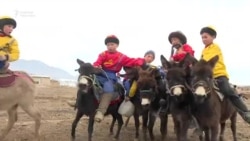 Көк бөрү мелдешин өткөргөн чыт курсактар