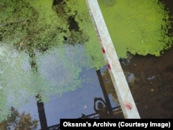 На балках, на які впав 10-річний хлопчик, залишилися сліди крові