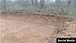 عکسی که از محوطه قطع درختان در شبکه ایکس منتشر شده است 