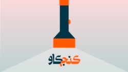 هفت هفتهٔ پرماجرا با دونالد ترامپ؛ حزب دموکرات کجاست؟