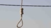 Her execution comes as concern grows over the numbers of people this year executed by Iran, where hundreds of people have been hanged mainly on drug and murder charges, including more than a dozen women.