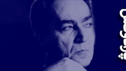 پارادوکس؛ شهیار قنبری