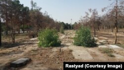 نمایی از قطعه ۴۱ بهشت‌زهرای تهران