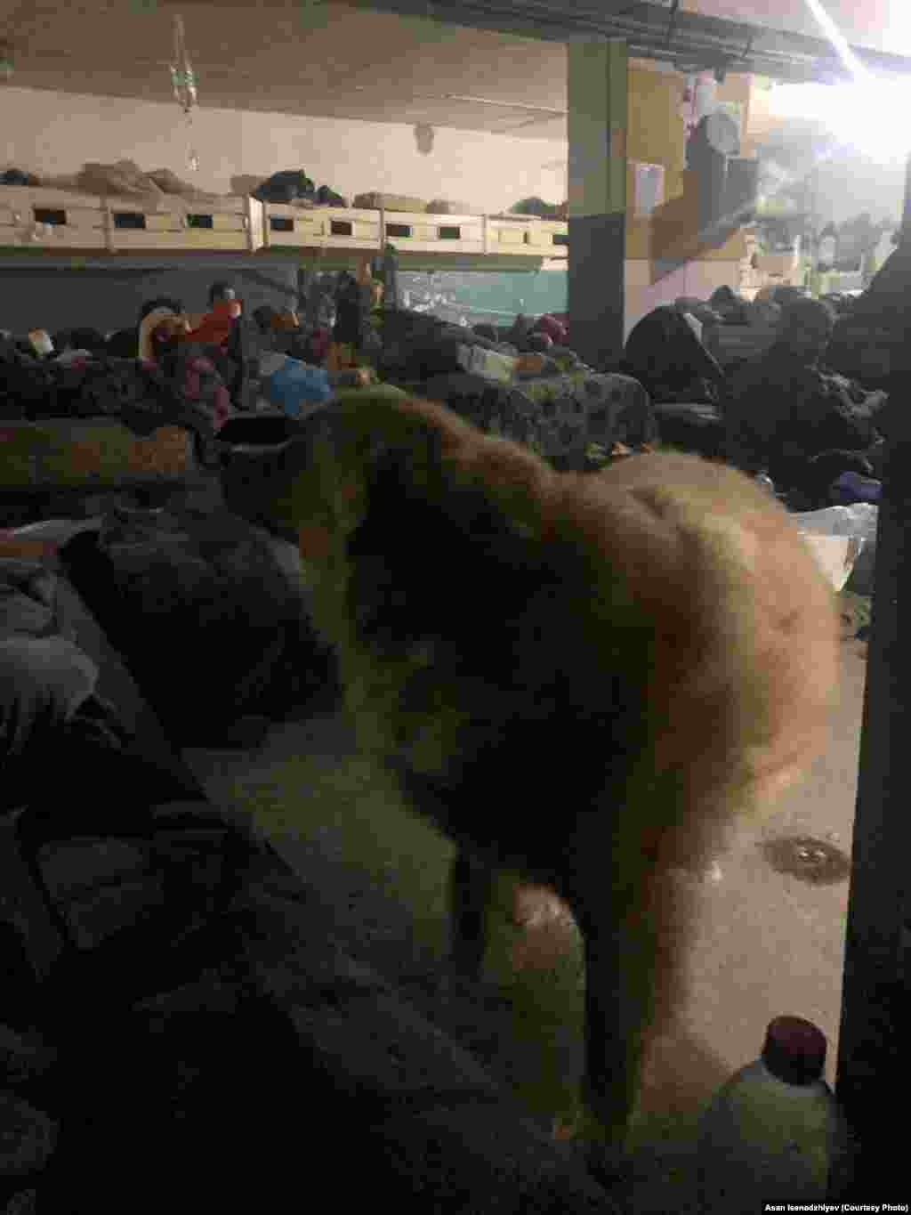 &quot;Azovstal&quot;, 2022 senesi. Bu köpekni arbiyler zavod kirişinden bunkerge alıp kettiler. Anda de o öldi: &quot;Azovstal&quot;niñ ateike tututlmasından birinde onıñ üstüne bunkerniñ damı tüşti