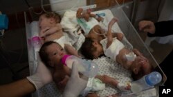 Ғазодаги чақалоқлар. Иллюстратив сурат