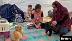 Газа тилкесиндеги палестин үй-бүлө