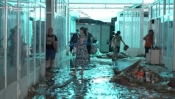 АКШдагы ок атуу: Байден менен Трамп элди ынтымакка чакырды