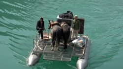 Нарын дарыясынан кайык менен өткөндөр