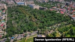 Ботаникалык бактын Горкий көчөсүндөгү дендрарий коругу. 