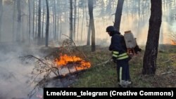 Раніше ДСНС вже повідомляла про ліквідацію лісових пожеж у Харківській області, спричинених російськими обстрілами (ілюстраційне фото, квітень 2024 року)