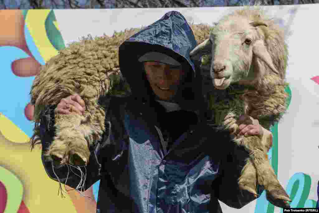 Ещё один вид популярных праздничных состязаний&nbsp;&mdash; приседание с бараном. За сценой выстроилась длинная очередь из желающих принять участие в состязании. Вес барана составляет около 50 килограммов