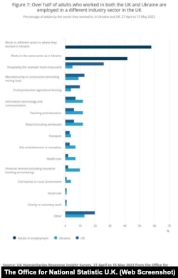 Більше від половини українців у Великій Британії працюють в іншому галузевому секторі