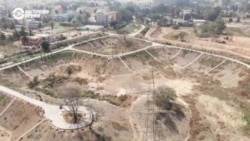 Десять месяцев подряд по всему миру фиксируют рекордные температуры: к чему это приведет?