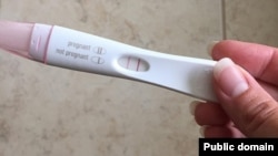 Тэст на цяжарнасьць. Ілюстрацыйнае фота 