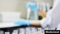 Արխիվային լուսանկար