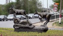 Киік атылған Батыс Қазақстанда жануардың мүсіні қойылды    