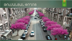 Թեղիները կտրել-չկտրելու հարցը տարակածության առիթ՝ ավագանու իշխանական ու ընդդիմադիր խմբացկությունների միջև