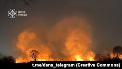 Попередньо, через пожежу вигоріли близько 3 гектарів території, зокрема і частина ландшафтного заказника «Осокорківські луки»