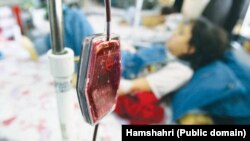 عکس آرشیوی است.