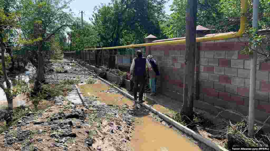 Селден улам Жалал-Абад облусунда 88 гектар айдоо жери, 4750 метр сел өтүүчү каналдар&nbsp; жабыркаган.