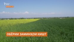 Кишоварзон дар марзи Тоҷикистону Қирғизистон умед доранд, ки имсол об ба ҳама мерасад