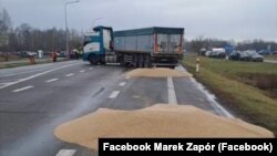 Розсипане учасниками блокування кордону з Україною зерно. Польща, поблизу пункту пропуску «Дорогуськ-Ягодин». 11 лютого 2024 року