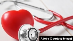 Иллюстрациялык сүрөт. 