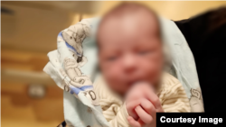 Польшада төрөлгөн Адилеттин кыркы эми эле чыкты.