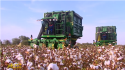 Diňle: Pagta möwsüminiň tamamlanandygyna garamazdan, plan borçnamasy agzalmaýar
