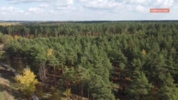 Ділянка у Гатненській громаді, на якій уряд планує звести Національне військове кладовище. Ексклюзив Радіо Свобода