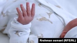 Иллюстрациялык сүрөт.