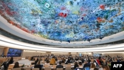 شورای حقوق بشر سازمان ملل متحد