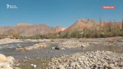 Аралдагы сай сейил бакка айланат 