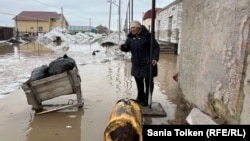 Иллюстратив фото