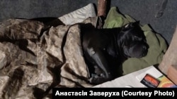 Вася спить у бліндажі