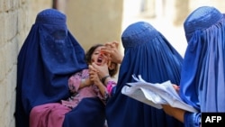 Иллюстратив сурат