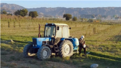 Diňle: Ahalda meýletin işden gitmäge çalyşýan mehanizatorlar mejbury işde saklanýar
