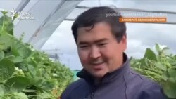 На заработки в Англию. Как житель Актау работал на британской ферме  