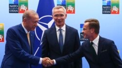 Անկարան և Ստոկհոլմը ընդհանուր հայտարարի են եկել ՆԱՏՕ-ին Շվեդիայի անդամակցելու հարցում