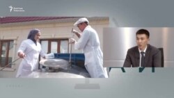 Сүттүн баасы: Эл өкүлдөрү менен өкмөттүн талашы