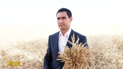 Diňle: Prezidentiň bellän täze nyrhlary oba adamlarynyň 'çigşen' meselesini çözermi?